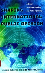 Shaping international public opinion