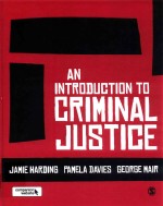 An introduction to criminal justice