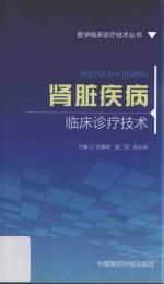 医学临床诊疗技术丛书 肾脏疾病临床诊疗技术