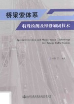 桥梁索体系特殊检测及维修加固技术