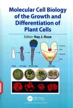 MOLECULAR CELL BIOLOGY OF THE GROWTH AND DIFFERENTIATION OF PLANT CELLS