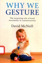 WHY WE GESTURE THE SURPRISING ROLE OF HAND MOVEMENTS IN COMMUNICATION