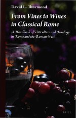 From Vines to Wines in Classical Rome