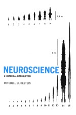 Neuroscience A Historical Introduction