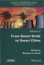 From smart grids to smart cities new challenges in optimizing energy grids