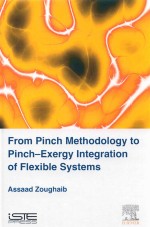 From Pinch Methodology to Pinch-Exergy Integration of Flexible Systems