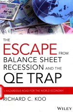 THE ESCAPE FROM BALANCE SHEET RECESSION AND THE QE TRAP A HAZARDOUS ROAD FOR THE WORLD ECONOMY