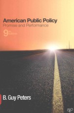 American public policy