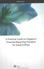 A practical guide to Singapore financial reporting standard for small entities