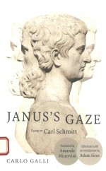 JANUS'S GAZE