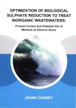 Optimization Of Biological Sulphate Reduction To Treat Inorganic Wastewaters