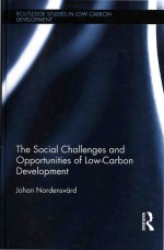 The social challenges and opportunities of low-carbon development