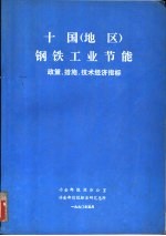 十国 地区 钢铁工业节能 政策、措施、技术经济指标