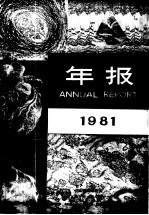 年报 1981