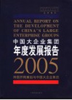 中国大企业集团年度发展报告 2005 跨国并购重组与中国大企业集团