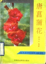 唐菖蒲花卉