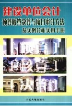 建设单位会计预算核算决算与项目审计方法及实例分析实用手册 第2卷