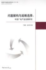 问题解构与战略选择 中国广电产业发展研究