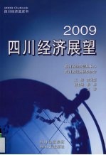 2009四川经济展望