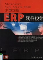 Microsoft SQL Server 2000  小型企业  ERP软件设计  上