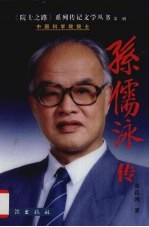 孙儒泳传