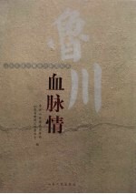 鲁川血脉情 山东支援抗震救灾新闻纪实