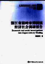 浙江省温岭市泽国镇经济社会调研报告