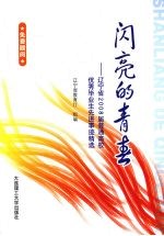 闪亮的青春 辽宁省2008届普通高校优秀毕业生先进事迹精选