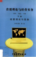 营销理论与经营实务 下 经营理论与实务