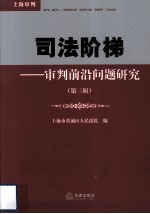 司法阶梯 审判前沿问题研究 第3辑