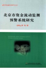 北京市资金流动监测预警系统研究