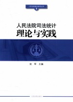 人民法院司法统计理论与实践