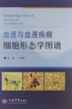 血液与血液疾病细胞形态学图谱