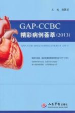 GAP CCBC精彩病例荟萃 2013