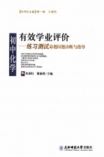 有效学业评价 初中化学练习测试命题问题诊断与指导