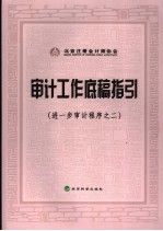 审计工作底稿指引 进一步审计程序之二