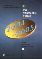 中国大型企业  集团  发展报告  2004-2005  经济圈形成过程中的大型企业  集团