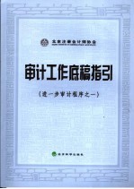 审计工作底稿指引 进一步审计程序之一