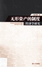 无形资产的制度经济学研究