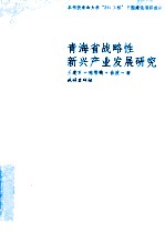 青海省战略性新兴产业发展研究