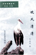 丹东作家丛书 晚风清清