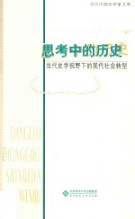 思考中的历史 当代史学视野下的现代社会转型