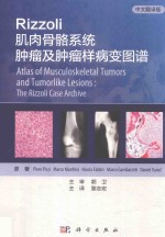 Rizzoli肌肉骨骼系统肿瘤及肿瘤样病变图谱 中文翻译版