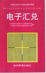 中国农业银行业务岗位操作规程 电子汇兑