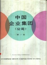 中国企业集团 公司 第1卷 汉英对照