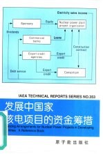 发展中国家核电项目的资金筹措