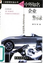 中外知名企业警示录 知名企业成与败的调查