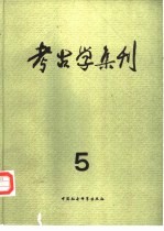 考古学集刊 第5集