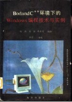 Borland C++环境下的Windows编程技术与实例