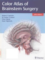 COLOR ATLAS OF BRAINSTEM SURGERY